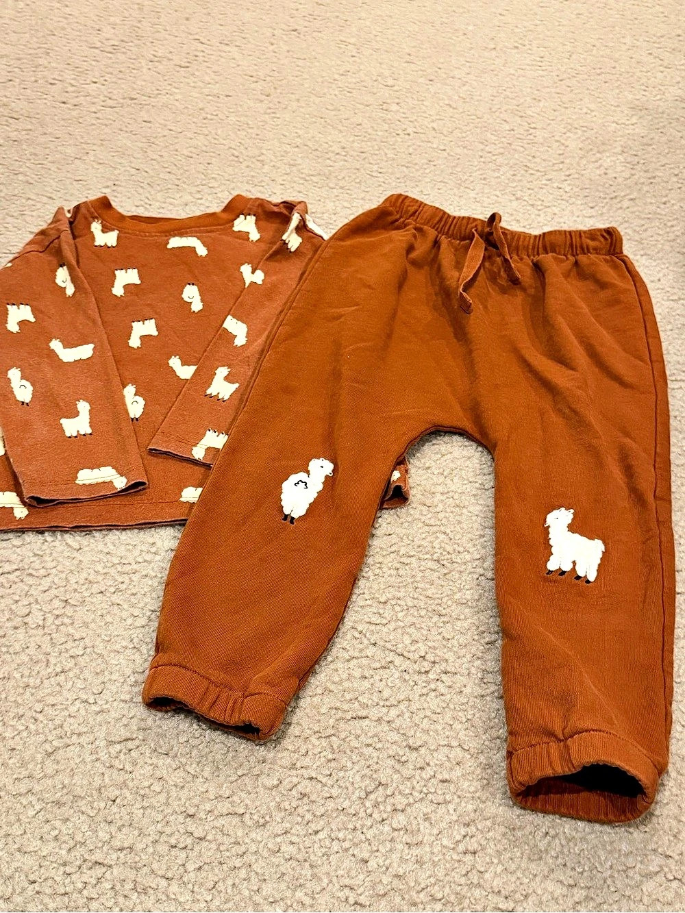 Hanna Andersson Donna the Llama Applique Pant and Tee Set Pant and Tee Set Boys